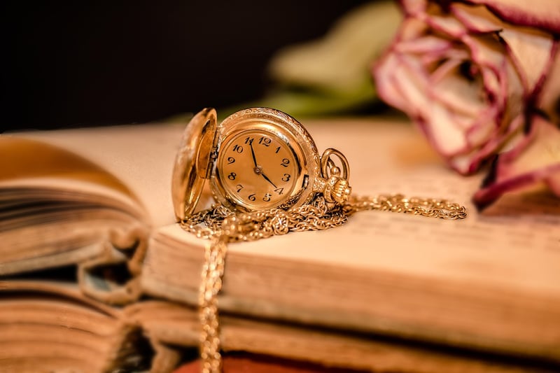 Time-Loop Travels